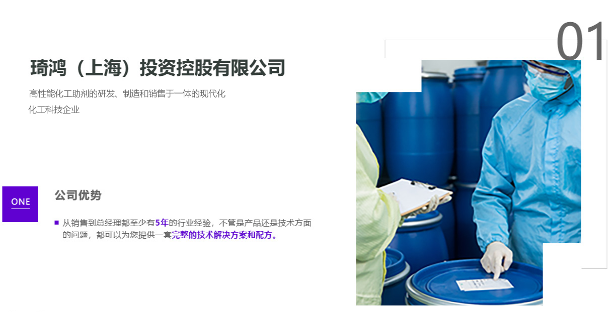 <琦鸿（上海）投资控股有限公司>公司优势