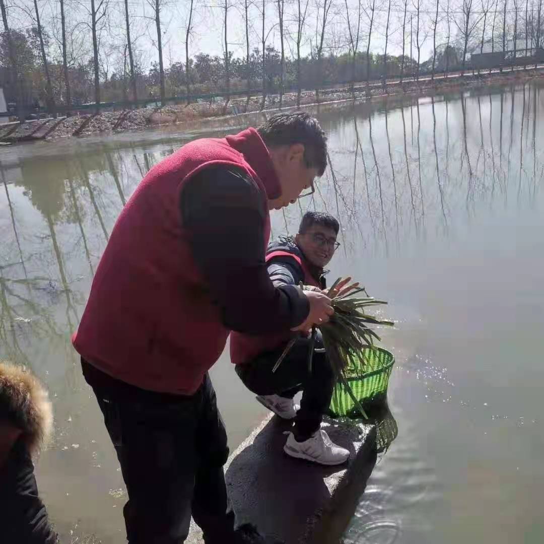琦鸿小伙伴元旦团建活动