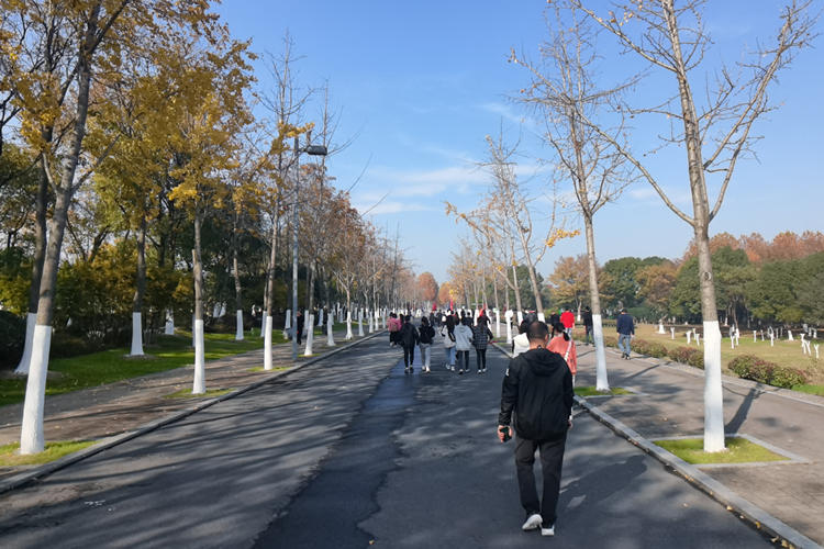 合肥琦鸿高分子材料冬季拓展活动实拍